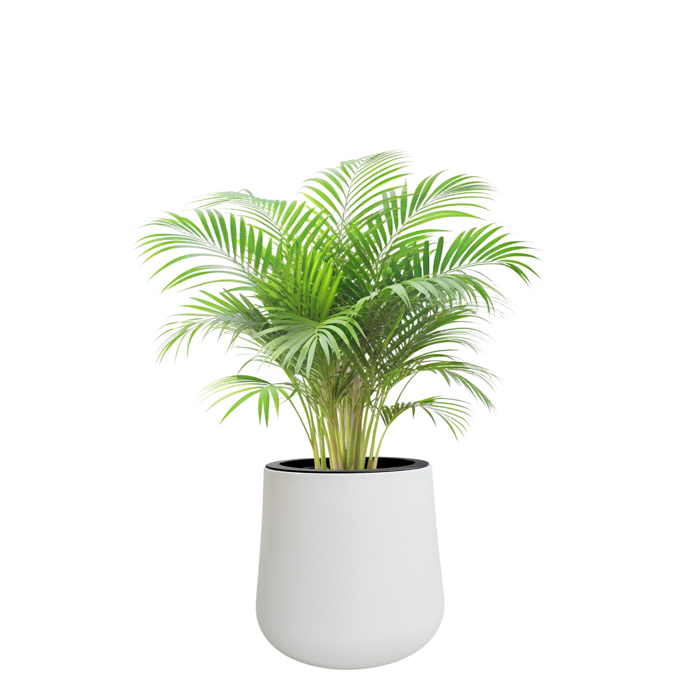 Matera Autoriego Tipo Gota Plástico CS-01