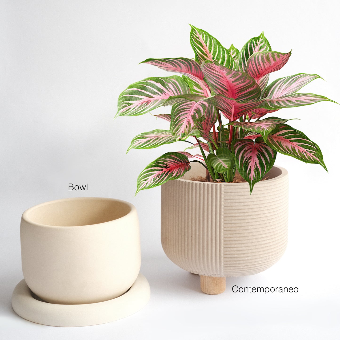 Matera Bowl  27cm D X 13cm H Concreto COD 5378