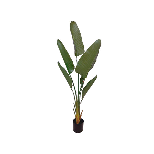 Platanera Artificial 1 MTS 2014-6-2