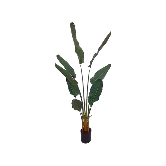 Platanera Artificial  1.4 MTS 2014A-10-3