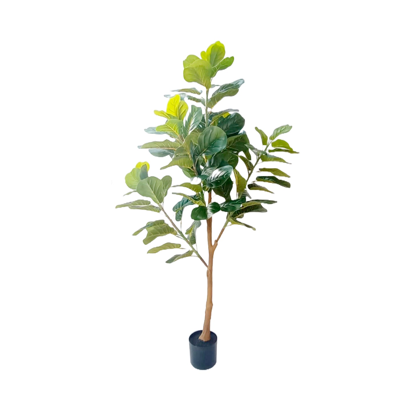 Planta Artificial Ficus Pandurata # 2 1.60 matera RCP602