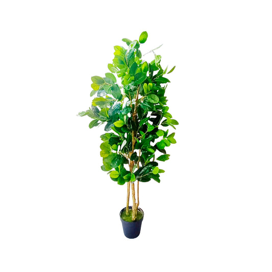 Planta Artificial ficus elástica 1.70 MTS RCP605