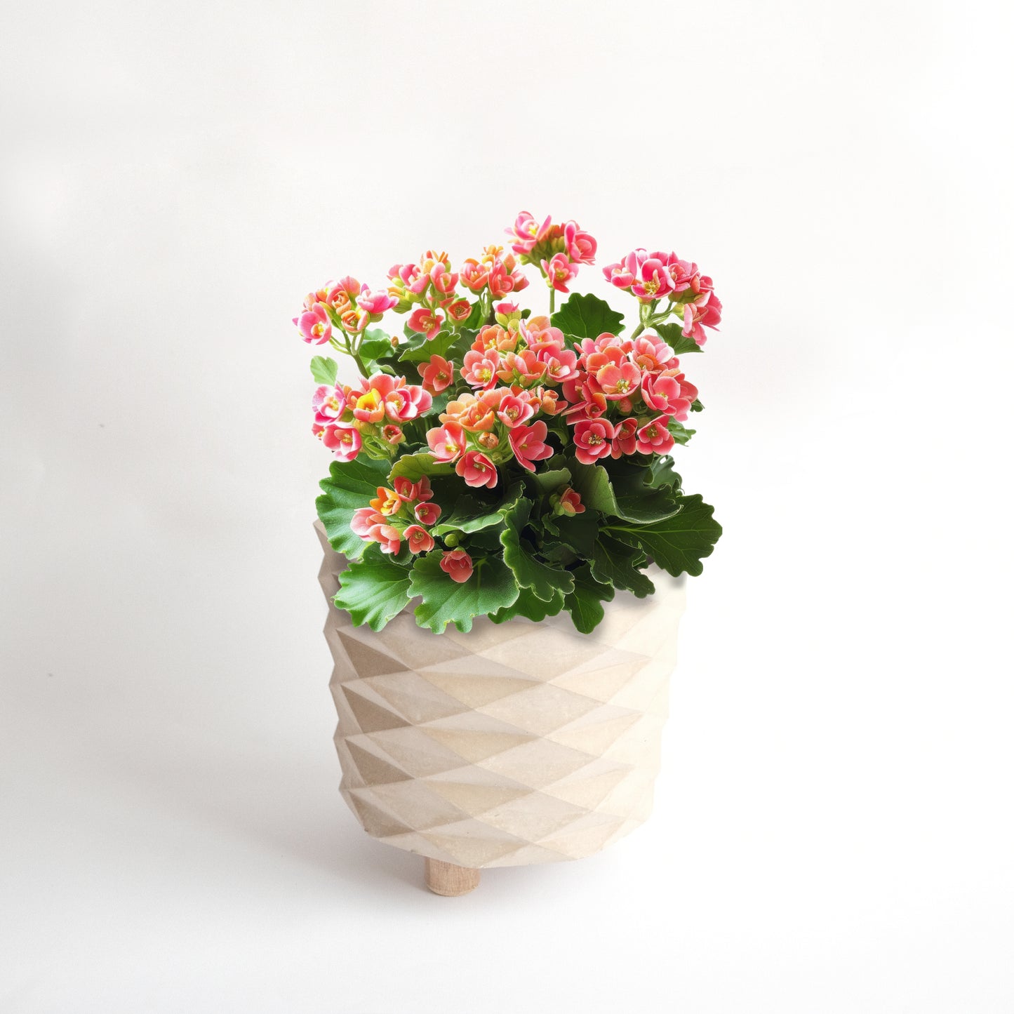 Matera Prisma con patas 17 cm D X 15 cm H Concreto COD 5630