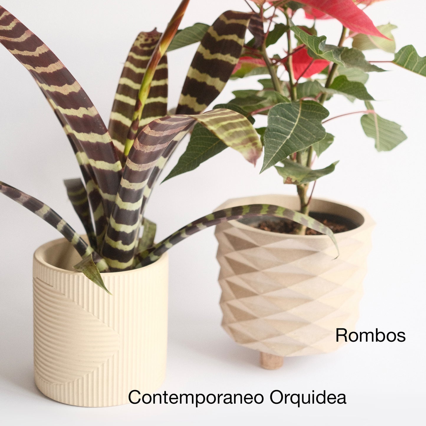 Matera Orquidea 13cm D X 12,5cm H Concreto COD 5629