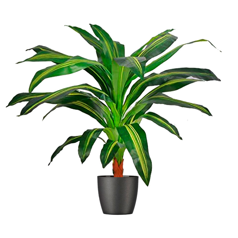 Dracena-artificial-80-CM.jpg-2