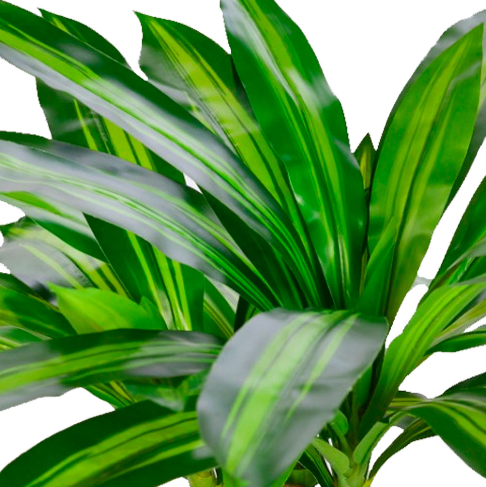 Dracena-artificial-80-CM.jpg-Inspiracional