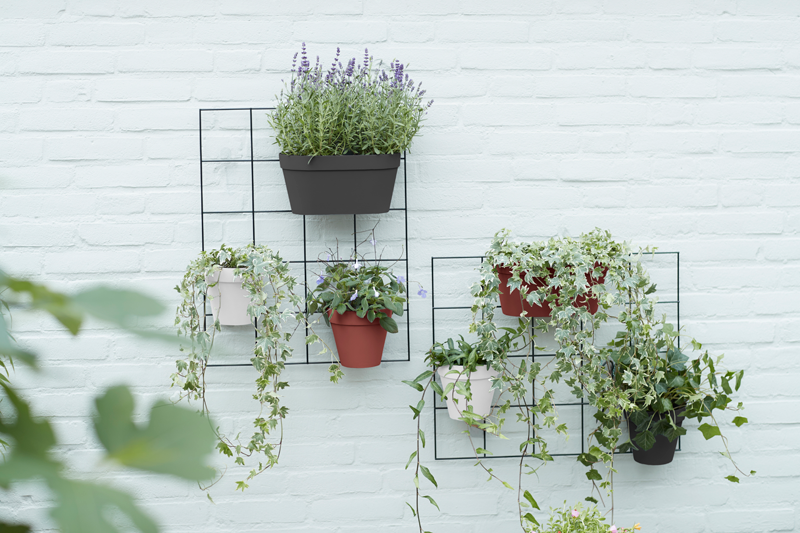 Loft Urban Green Wall