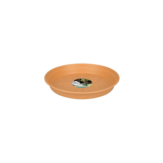 Plato-Base-22-cm-Mild-terra