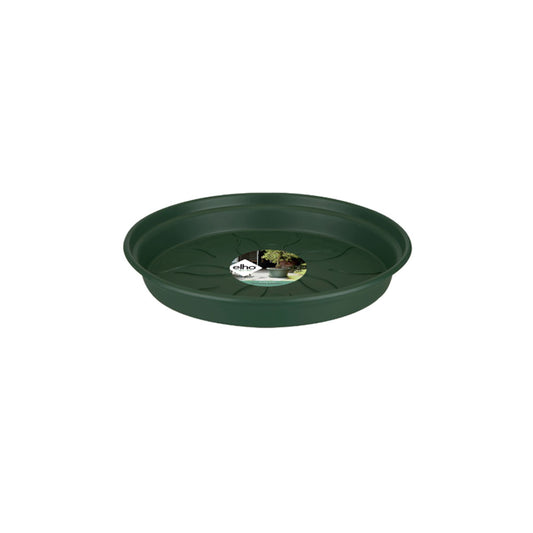 Plato-Base-25-cm-Leaf-green