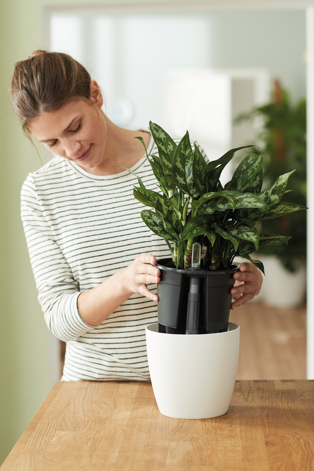 Self-watering insert