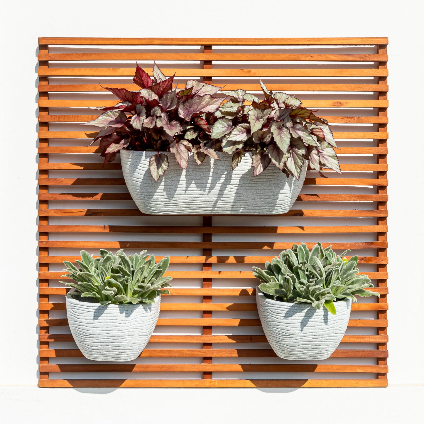 WALL PLANTER GREY_SET