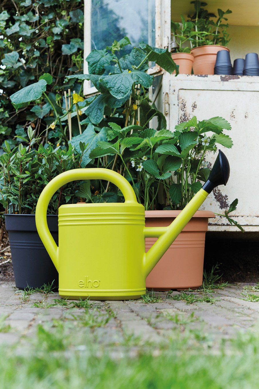 green basics watering can.i3